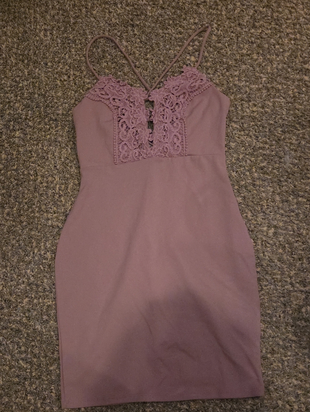 Haute Monde Dusty Rose Lace-Front Mini Dress